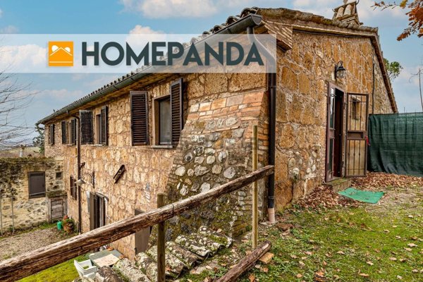 esavano in vendita a Castel Viscardo