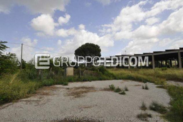 terreno agricolo in vendita a Castel Viscardo