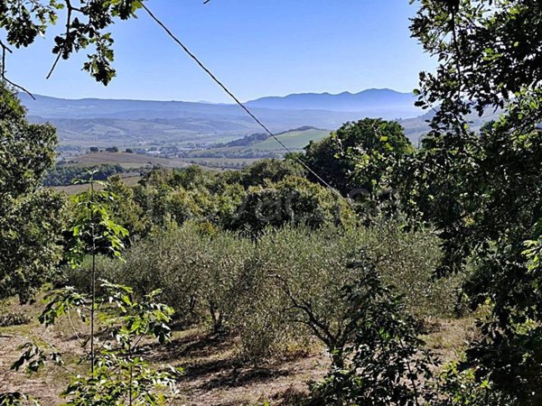 casa indipendente in vendita a Castel Viscardo