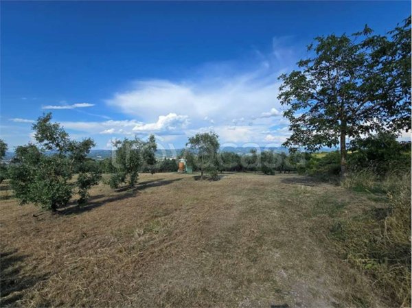 terreno agricolo in vendita a Castel Viscardo