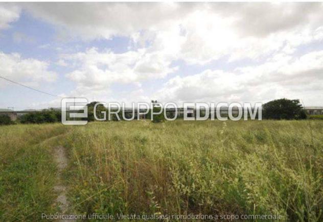 terreno agricolo in vendita a Castel Viscardo