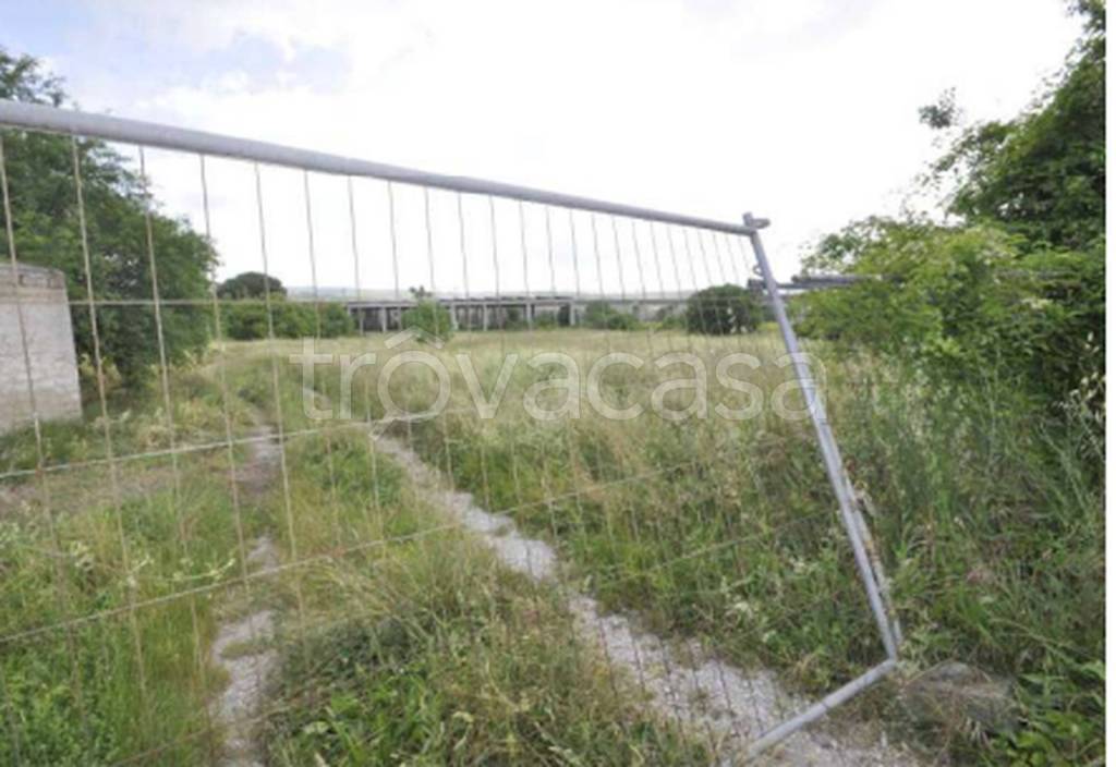 terreno agricolo in vendita a Castel Viscardo