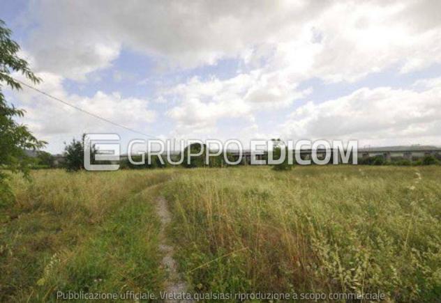 terreno agricolo in vendita a Castel Viscardo