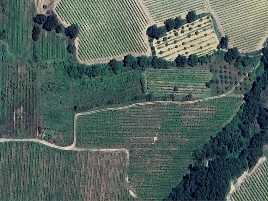 terreno agricolo in vendita a Castel Viscardo