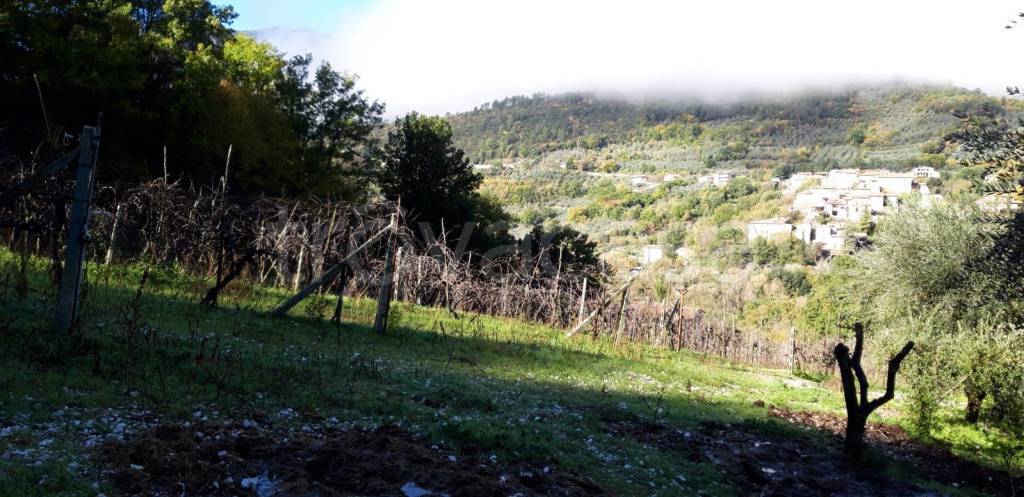 terreno agricolo in vendita a Ferentillo in zona Macenano