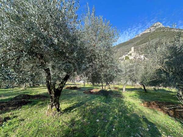 terreno agricolo in vendita a Ferentillo in zona Monterivoso