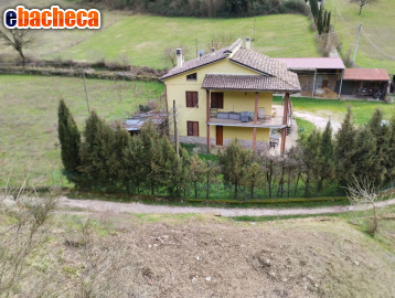 immagine annuncio 0 di 15