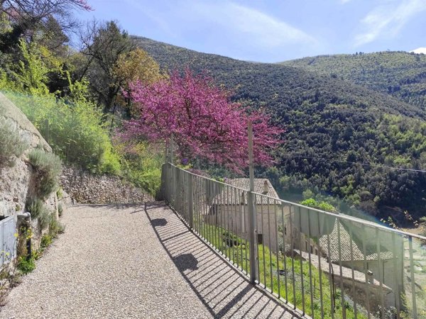 pentavano in vendita a Ferentillo in zona Monterivoso