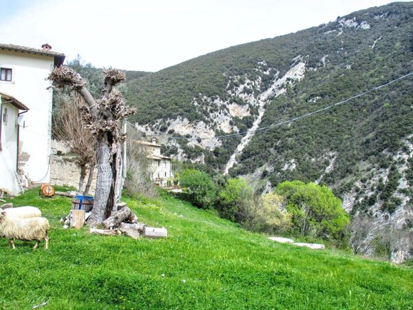 appartamento in vendita a Ferentillo in zona Castellonalto