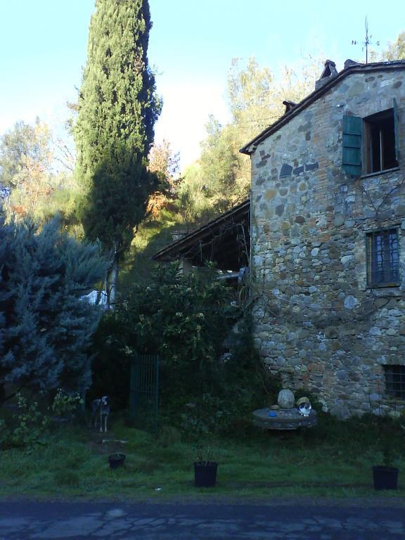 casa indipendente in vendita a Ficulle in zona Sala