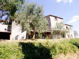 terreno agricolo in vendita a Ficulle