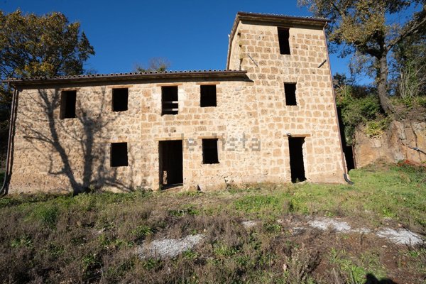 pentavano in vendita a Ficulle