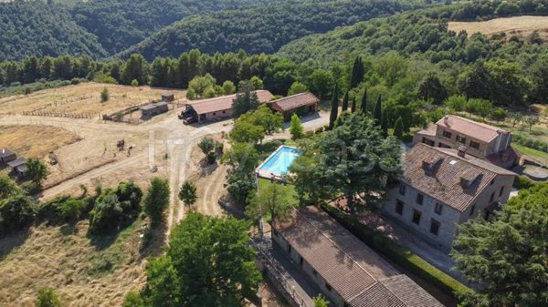 casa indipendente in vendita a Ficulle in zona Sala
