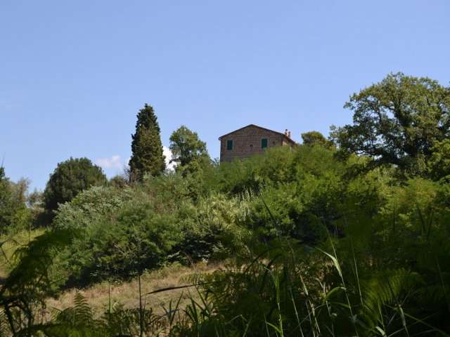 casa indipendente in vendita a Ficulle