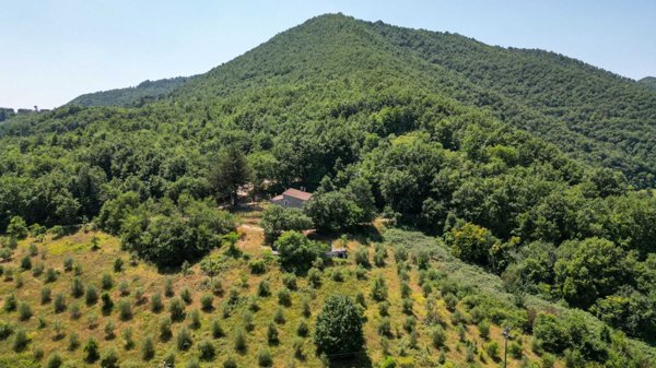 casa indipendente in vendita a Ficulle