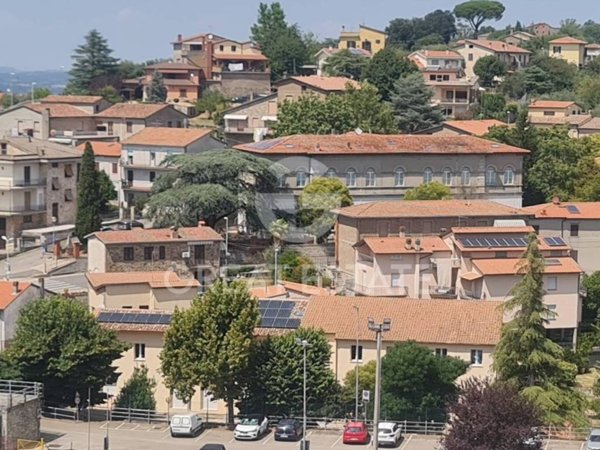 appartamento in vendita a Ficulle