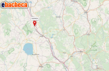 terreno agricolo in vendita a Ficulle