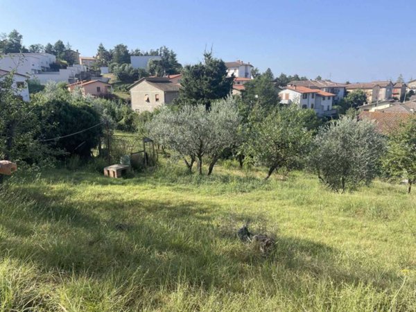 locale di sgombero in vendita a Ficulle