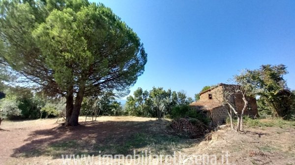 locale di sgombero in vendita a Ficulle