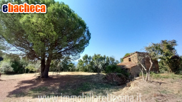 appartamento in vendita a Ficulle