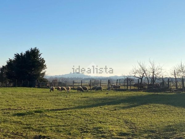 appartamento in vendita a Ficulle