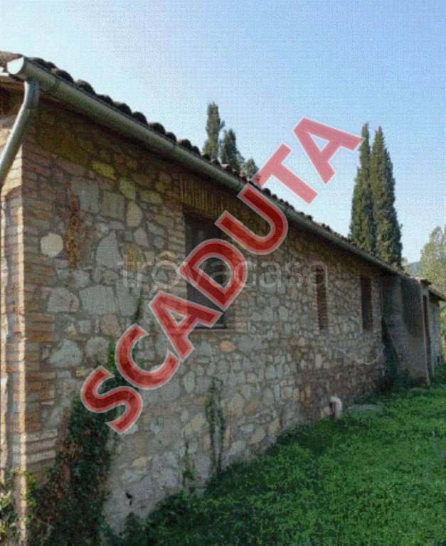 appartamento in vendita a Ficulle