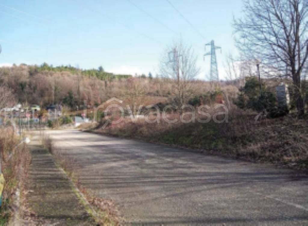 terreno agricolo in vendita a Ficulle