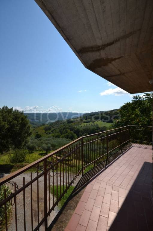 appartamento in vendita a Ficulle