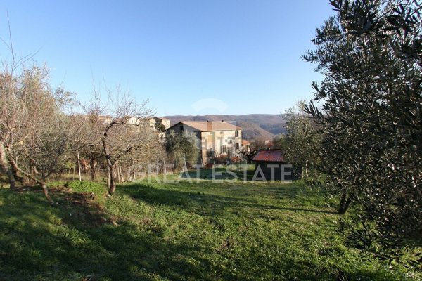 appartamento in vendita a Ficulle