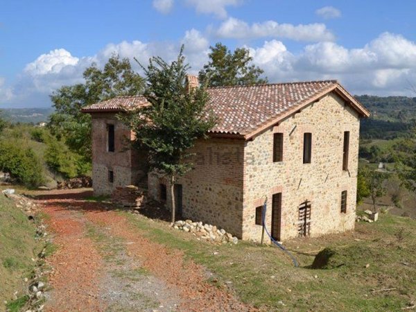 casale in vendita a Ficulle