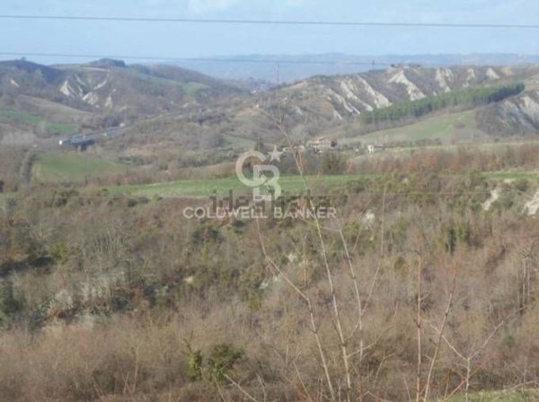 terreno agricolo in vendita a Ficulle