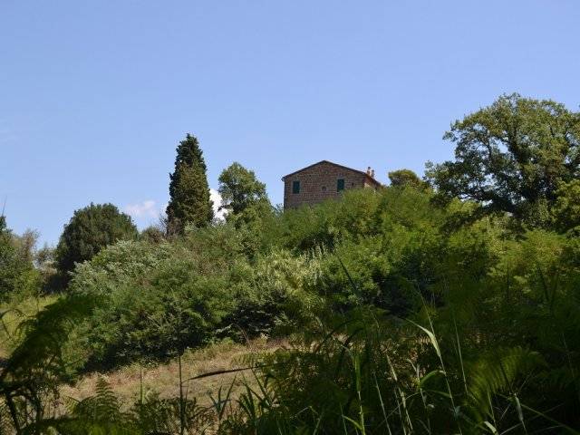 casale in vendita a Ficulle