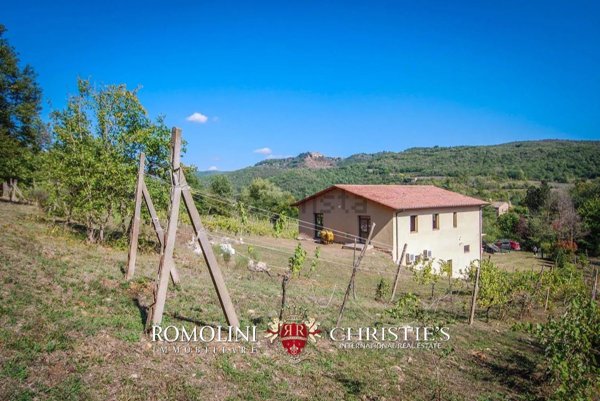 quadrivano in vendita a Ficulle