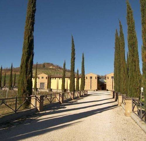 negozio in vendita a Ficulle