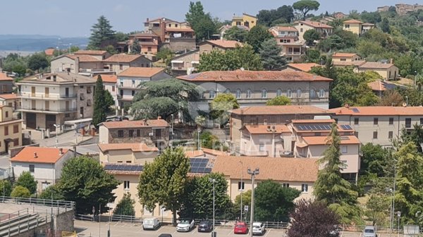 appartamento in vendita a Ficulle