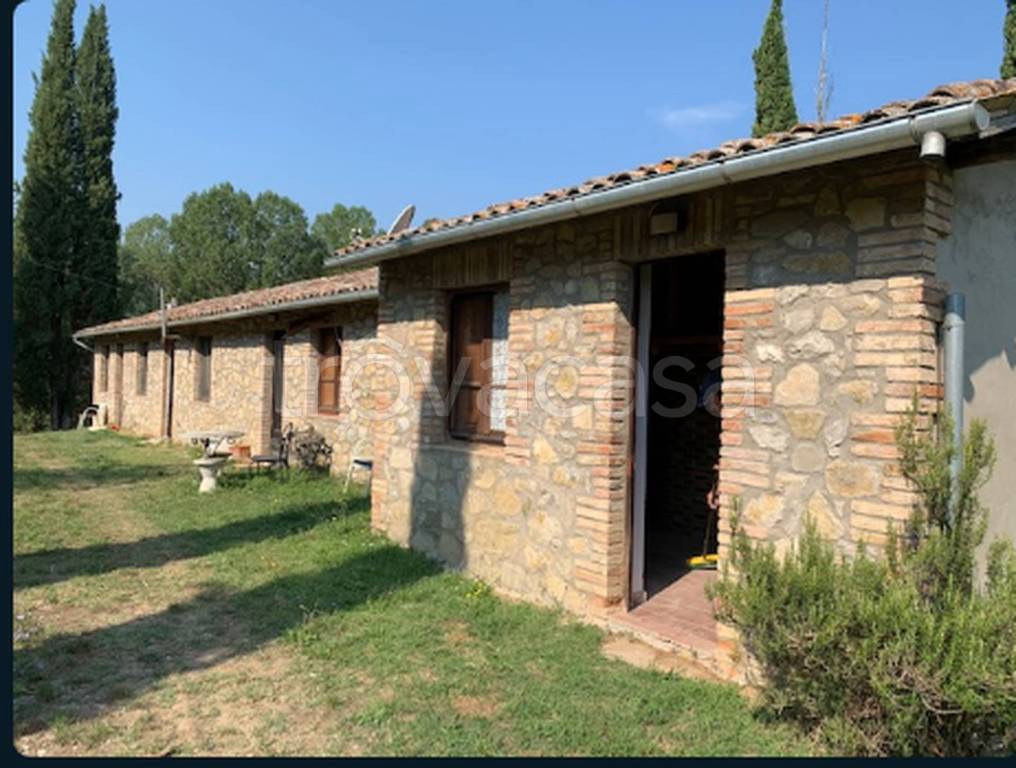 pentavano in vendita a Ficulle