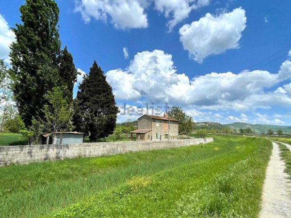 casale in vendita a Ficulle