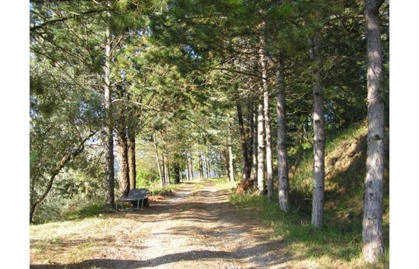 casa indipendente in vendita a Ficulle