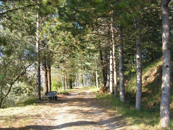 casa indipendente in vendita a Ficulle