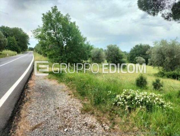 terreno agricolo in vendita a Ficulle