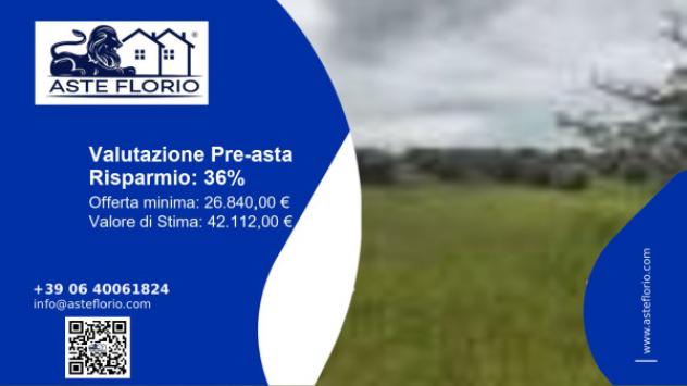 terreno agricolo in vendita a Ficulle