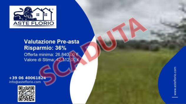 terreno agricolo in vendita a Ficulle