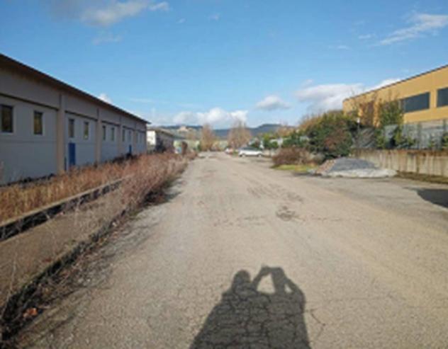 terreno agricolo in vendita a Ficulle