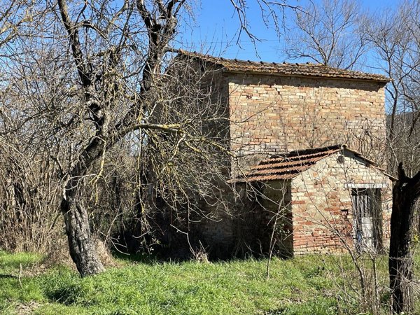 casa indipendente in vendita a Ficulle