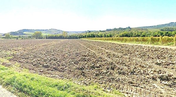 negozio in vendita a Ficulle