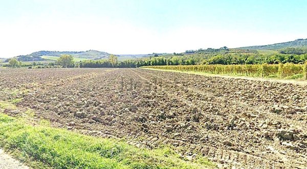 terreno agricolo in vendita a Ficulle