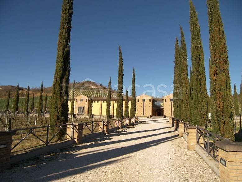 negozio in vendita a Ficulle