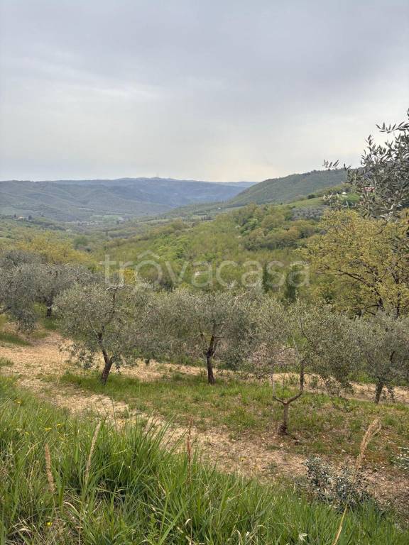 casa indipendente in vendita a Ficulle