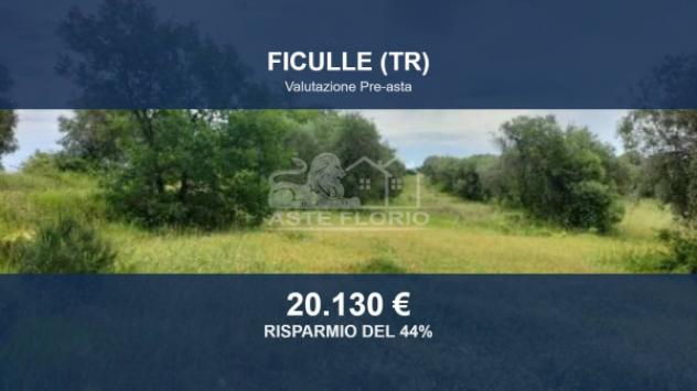 terreno agricolo in vendita a Ficulle