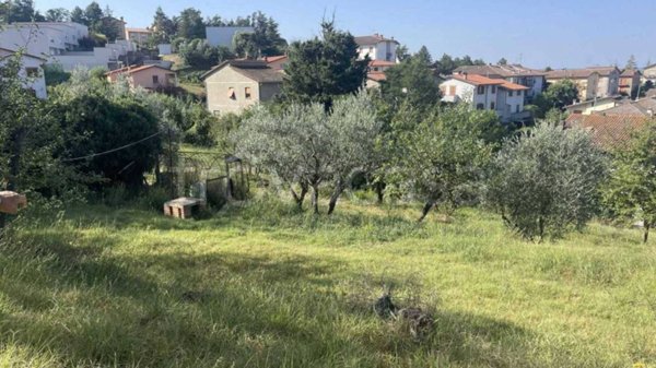 locale di sgombero in vendita a Ficulle